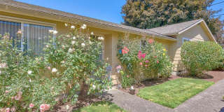 Beverly Gardens Gallery 20