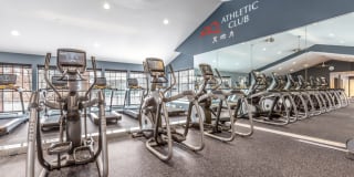 TGM Willowbrook Gallery 21