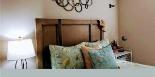 6 Aztec Lily Lane Gallery 8