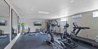 Livingston Gardens Gallery 20