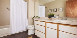 Whimsical Pig Gallery 25