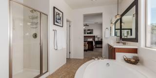 3749 W WHITEHAWK Court Gallery 23