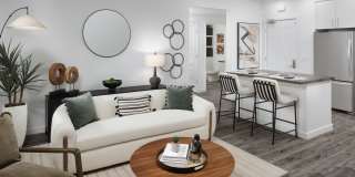 Vida Morgan Hill Gallery 33