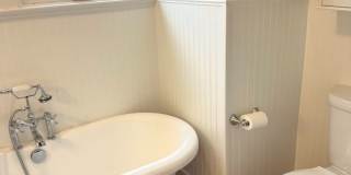 Beautiful 3 Bed/2 Bath in Downtown Colorado Springs! Gallery 14