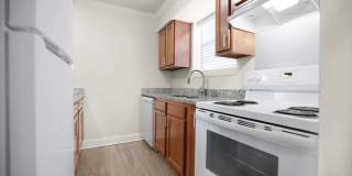 Artwalk Bucktown Gallery 19