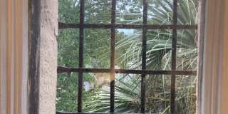 20 Dufferin St Gallery 50