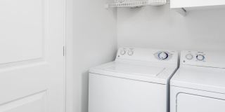 Camden Travis Street Gallery 18