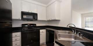 Elan Riverwalk Gallery 17