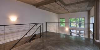 Alcyone Gallery 50
