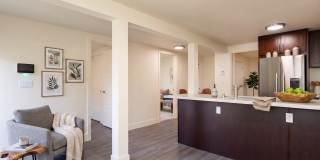 Newly Remodeled 3BR w/ In-Unit W/D, Private Entry & Designer Finishes – Pet Friendly! Gallery 38