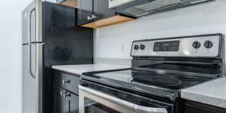 Temple Apartments Gallery 165