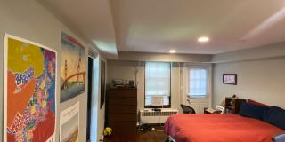 94 Marion St Gallery 1