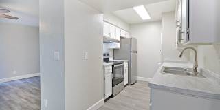 The Coronado (Palms on Monte Vista) Gallery 4