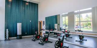 The Arbory Gallery 8