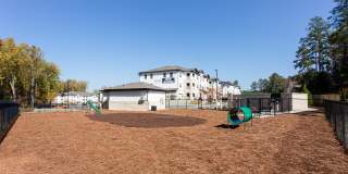 The Laney Gallery 44