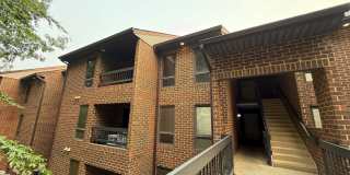 44790 LOCUST RIDGE Court Gallery 1