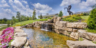 Aventura at Wild Horse Creek Gallery 2