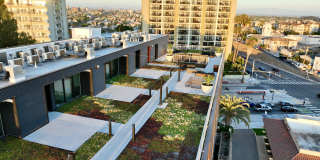 Onyx on Park Gallery 58