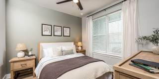 Arcadia 331 Gallery 34