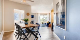 Alta Springs Gallery 6