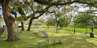 Solaris Key Gallery 59