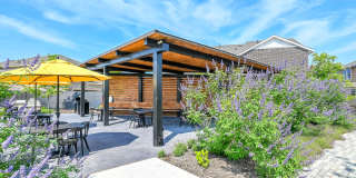 BB Living Light Farms Gallery 45