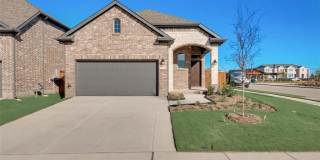 1127 Mesa Street Gallery 1