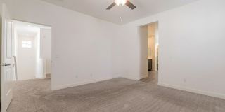 5538 S Dillon Gallery 17