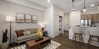 Argyle at Southridge Gallery 3
