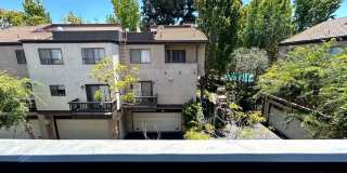 Spacious 3 bedroom 2.5 bath Condo for rent in Woodland Hills! Gallery 57