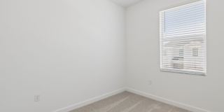 Nuvo Daytona Gallery 23