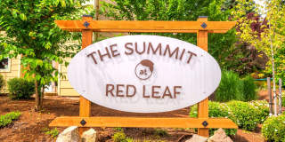 The Summit at Red Leaf Gallery 8