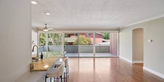 Bay Tree Gallery 44