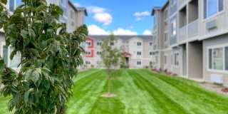Deer Haven Apartments Gallery 5