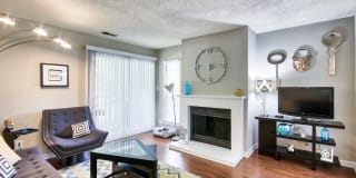 The Villages Gallery 7