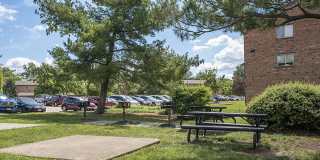 THE MANOR/THE MANOR EAST APARTMENTS Gallery 30