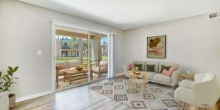 Buena Vista Gallery 31