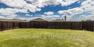 2126 Silver Maple Gallery 35