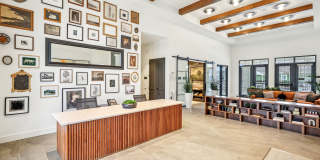 Hamlet Watkins Centre Gallery 5