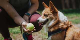 Lakeline Villas Gallery 26