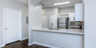 Registry at Windsor Parke Gallery 50