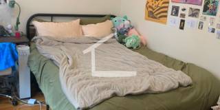 Nicely updated 3 bed near Coolidge Corner and BU! Gallery 17
