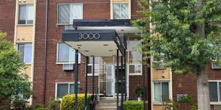 Light-Filled 1BR, 1BA in the Heart of Brookland Gallery 1