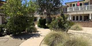 11139 Snapdragon Street Gallery 31