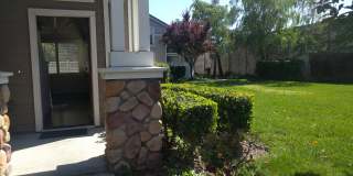 5674 Impatiens Common Gallery 1