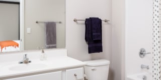 Confluence on 3rd Gallery 5