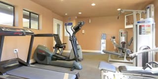 Windsor Ridge Gallery 5