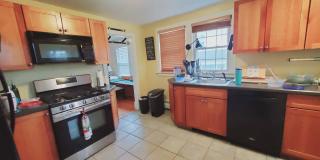 61 Palmer Street Gallery 2