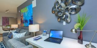 RIZE at Winter Springs Gallery 45