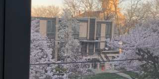 311 Greene St Gallery 22